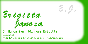 brigitta janosa business card